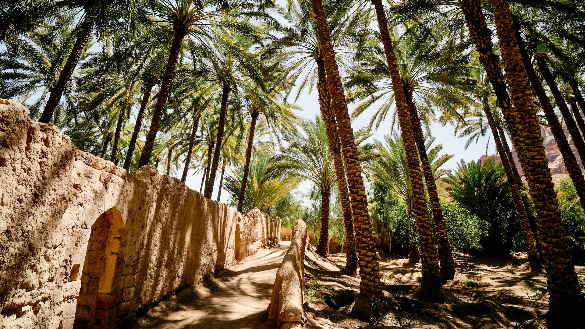 AlUla’s Season of Stories: The Ancient Kingdoms Festival Returns